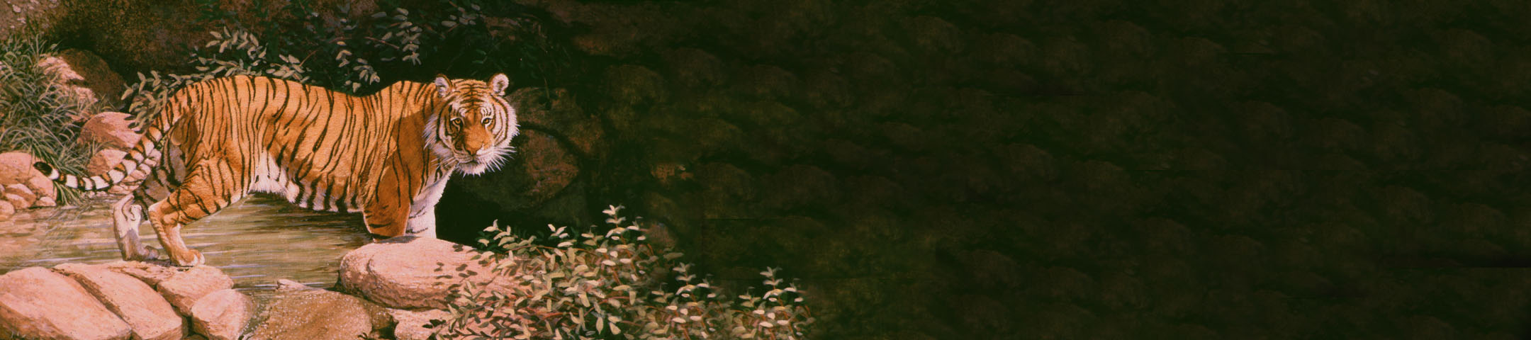 Asian Banner